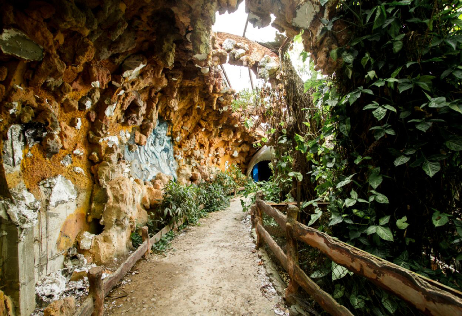 Explore the aquarium
